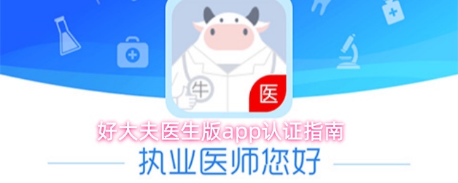 好大夫医生版app怎么认证身份