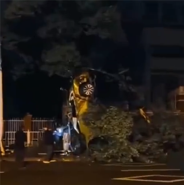 重庆一汽车发生翻车事故:车尾朝天靠树上 气囊弹开男子自行脱困爬出