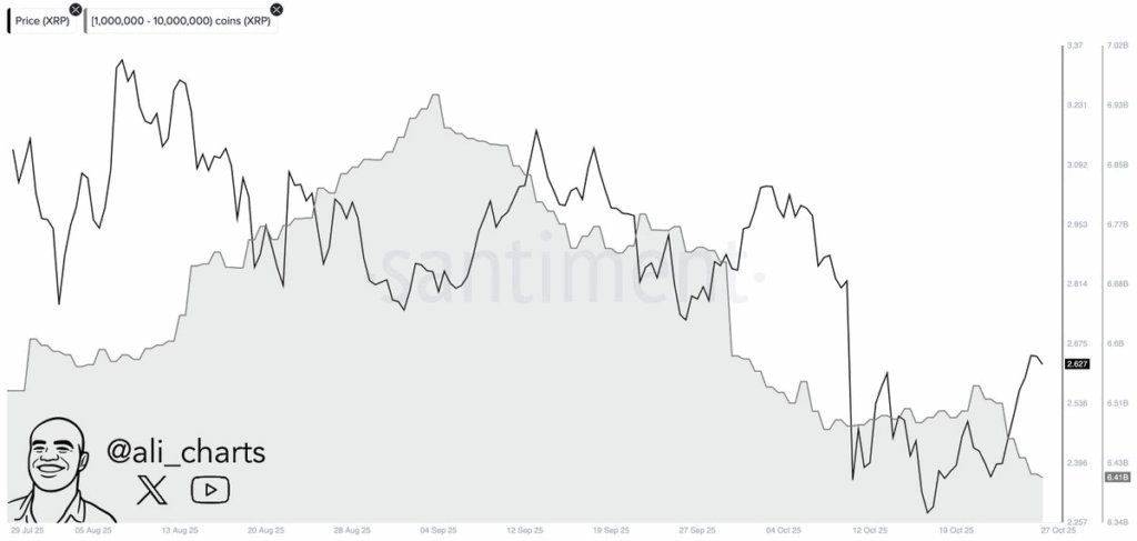 XRP 的价格会涨到多高