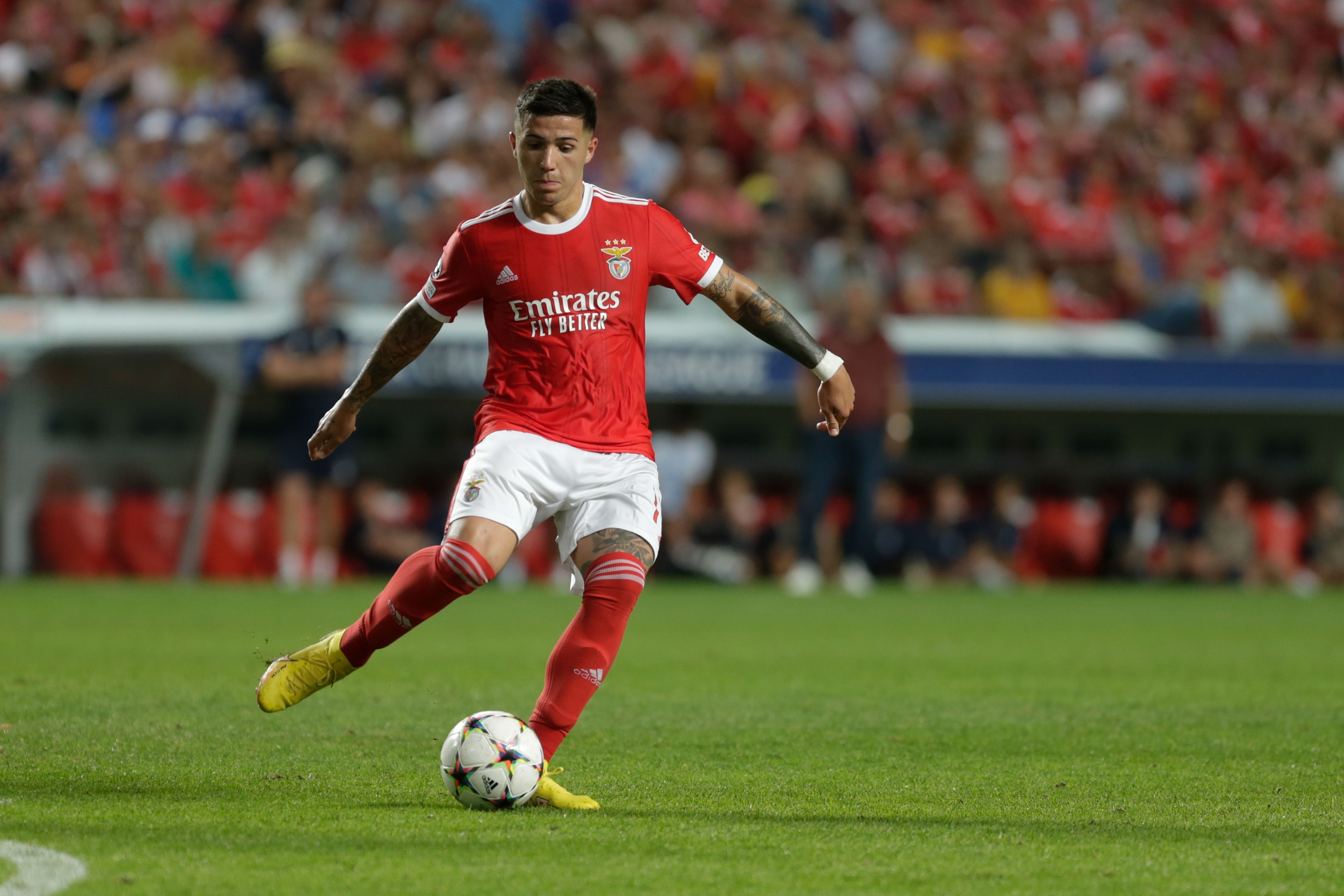 格里马尔多:本菲卡因恩佐离队几乎崩溃,但面对1.2亿欧又能如何