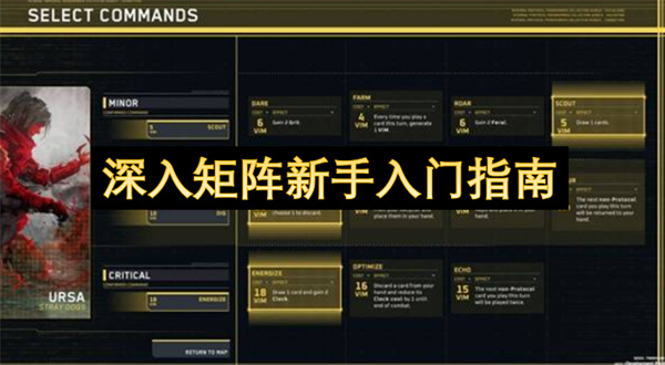 深入矩阵新手入门指南