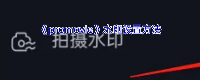 promovie怎么打开水印