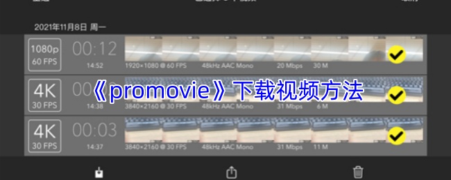 promovie怎么下载视频