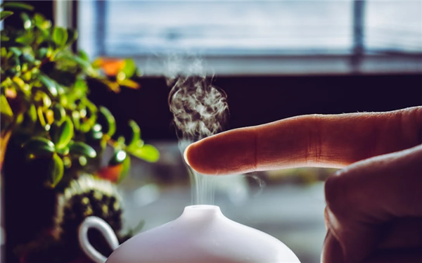 不要随意添料!加湿器加香薰精油可能致肺炎