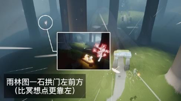 光遇禁阁赏花任务攻略_6 雨林赏花点