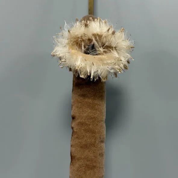 遇到这种“爆炸烤肠” 千万别随便捡回家!