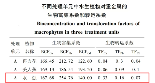 遇到这种“爆炸烤肠” 千万别随便捡回家!