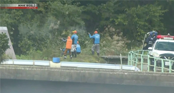 今年已致13人死亡！日本熊灾现场有明显吃人痕迹