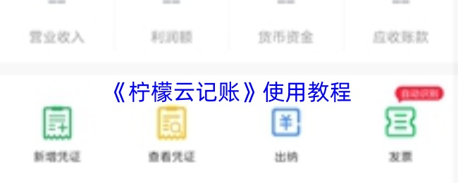 柠檬云记账使用指南