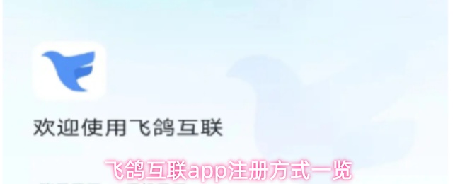 飞鸽互联APP注册登录方法指南