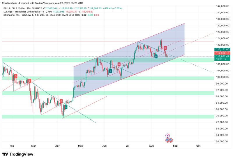 BTC 价格动态（来源：TradingView）