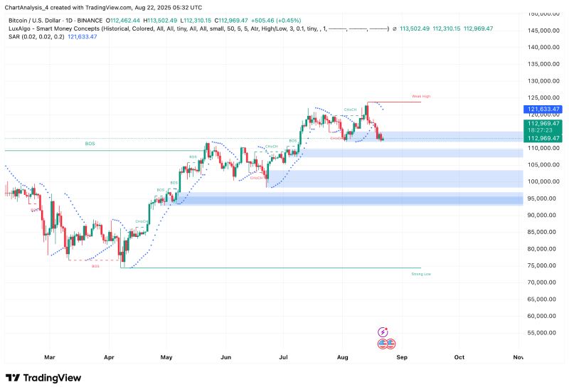 BTC 价格动态（来源：TradingView）