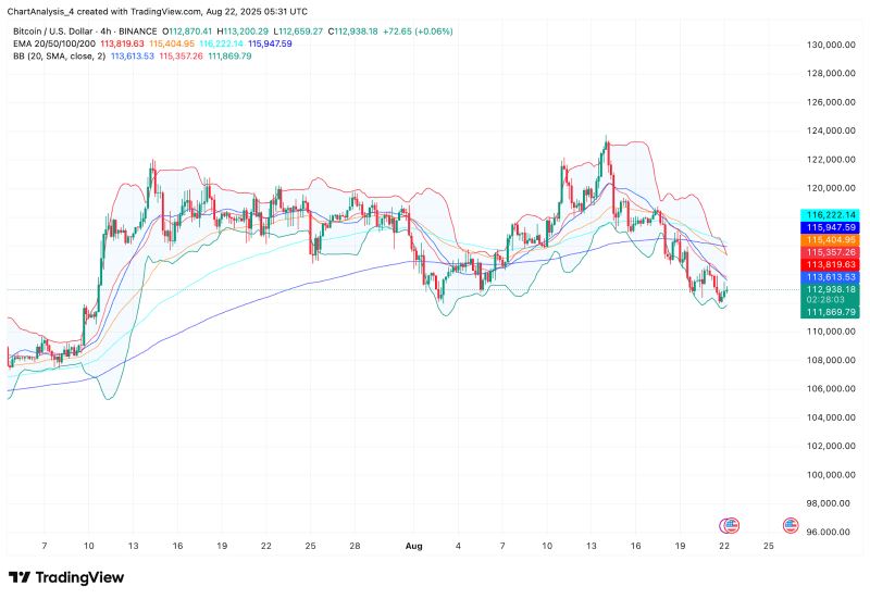 BTC 价格动态（来源：TradingView）