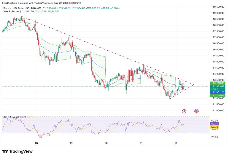 BTC 价格动态（来源：TradingView）