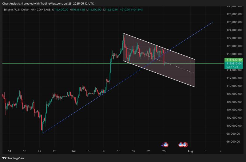 BTC 价格动态（来源：TradingView）