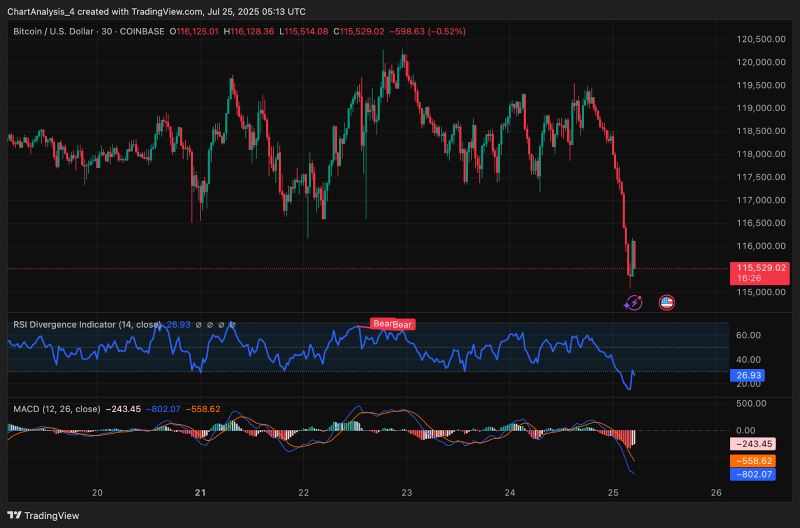 BTC 价格动态（来源：TradingView）