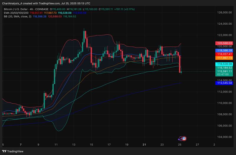 BTC 价格动态（来源：TradingView）
