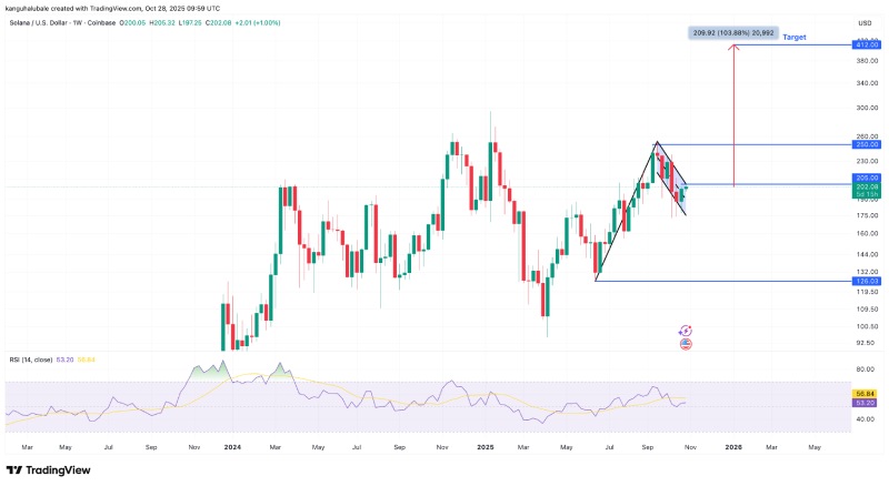 SOL价格有望因牛旗突破翻倍