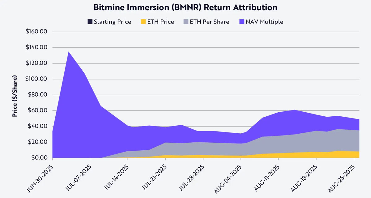 Bitmine ETH 持有量与股价关系分析