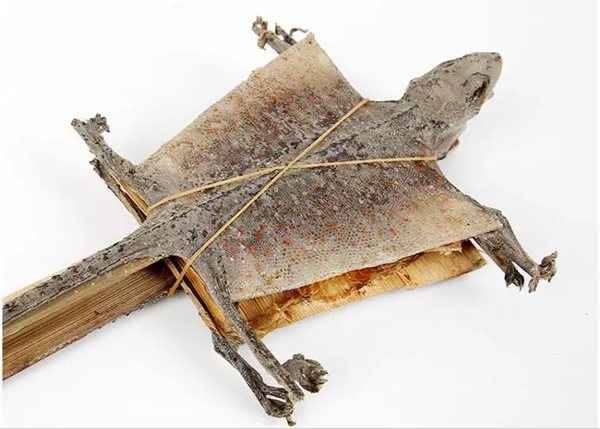 蛤蚧的价格是多少钱一对