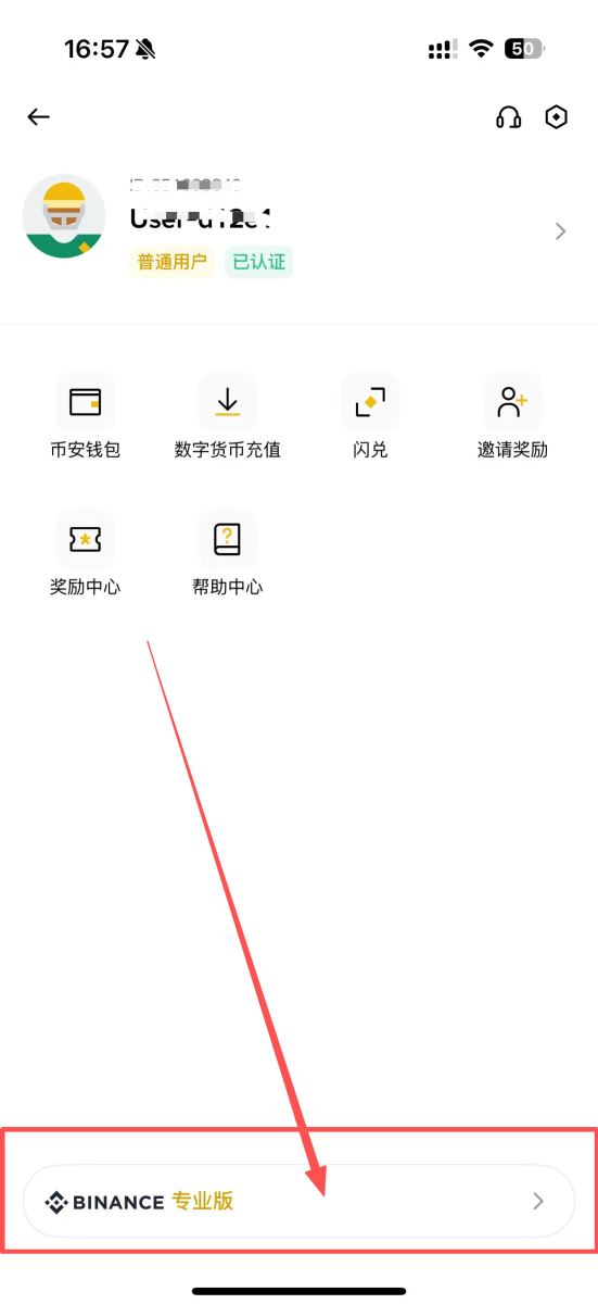 如何在币安APP 内切换简易及专业版