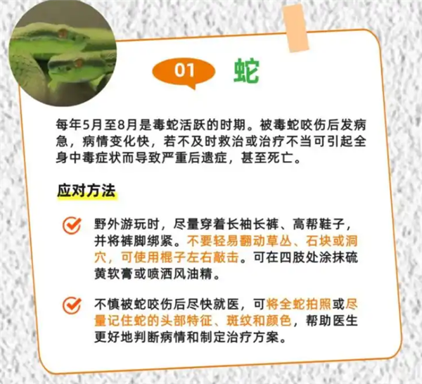 广州一居民家中出现蛇 物业：宠物蛇 已加强管理