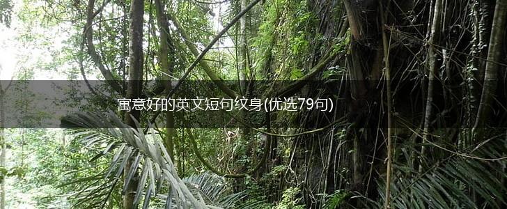 寓意好的英文短句纹身(优选79句),第1张 寓意好的英文短句纹身(优选79句),第1张