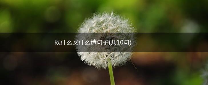 既什么又什么造句子(共10句),第1张 既什么又什么造句子(共10句),第1张