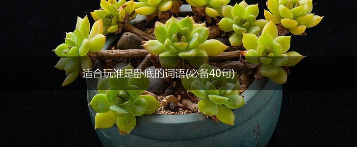 适合玩谁是卧底的词语(必备40句),第1张 适合玩谁是卧底的词语(必备40句),第1张