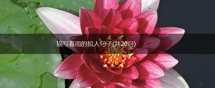 描写春雨的拟人句子(共20句),第1张 描写春雨的拟人句子(共20句),第1张