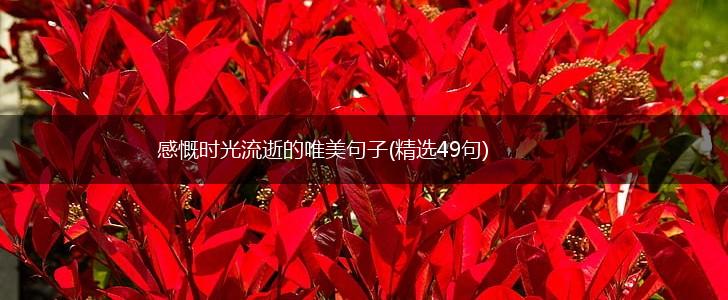 感慨时光流逝的唯美句子(精选49句),第1张 感慨时光流逝的唯美句子(精选49句),第1张