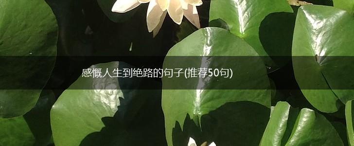 感慨人生到绝路的句子(推荐50句),第1张 感慨人生到绝路的句子(推荐50句),第1张