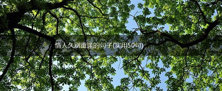 情人久别重逢的句子(实用50句),第1张 情人久别重逢的句子(实用50句),第1张
