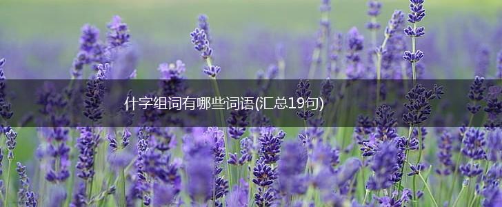 什字组词有哪些词语(汇总19句),第1张