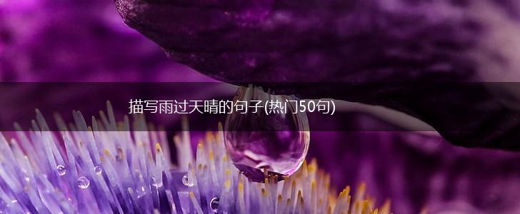 描写雨过天晴的句子(热门50句),第1张