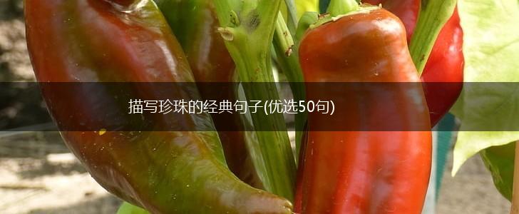 描写珍珠的经典句子(优选50句),第1张 描写珍珠的经典句子(优选50句),第1张