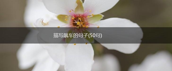 描写飙车的句子(50句),第1张