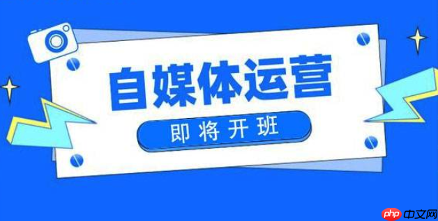 抖音个人IP速成指南：从0到1的内容运营实战攻略