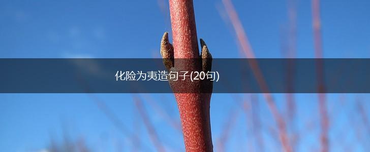 化险为夷造句子(20句)