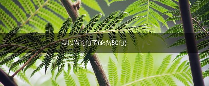 我以为的句子(必备50句)