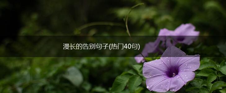 漫长的告别句子(热门40句)