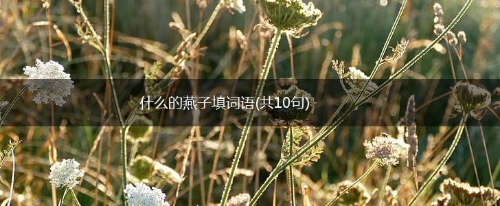 什么的燕子填词语(共10句)？