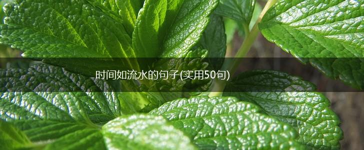 时间如流水的句子(实用50句)