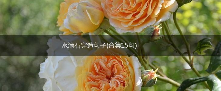 水滴石穿造句子(合集15句)
