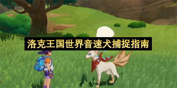 音速犬捕捉全攻略：洛克王国必备指南