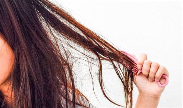 蚂蚁庄园11月6日今日答案2025