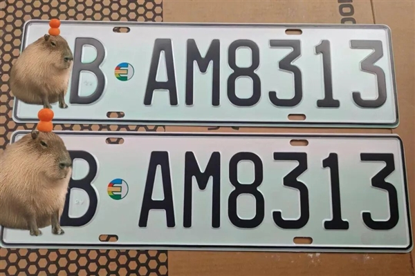 新能源绿牌用“UV灯”照射后能变白牌 网友：帅 但蜀黍不认