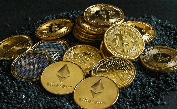 深入研究项目基本面