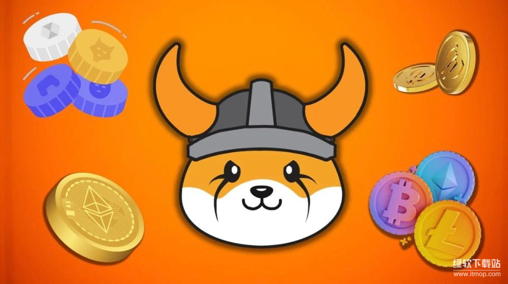 FLOKI的发行结构与流通设计