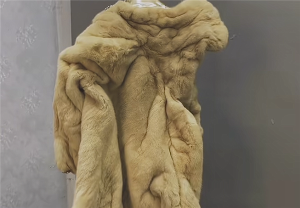 1888元的貂皮大衣被洗废后买家退货退款 商家驱车300公里讨说法